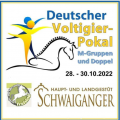 Plakat Deutscher Voltigierpokal der M-Gruppen .png